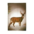 thumbnail image 1 of Betsy Drake KT236 Deer in Snow Kitchen Towel, 1 of 1