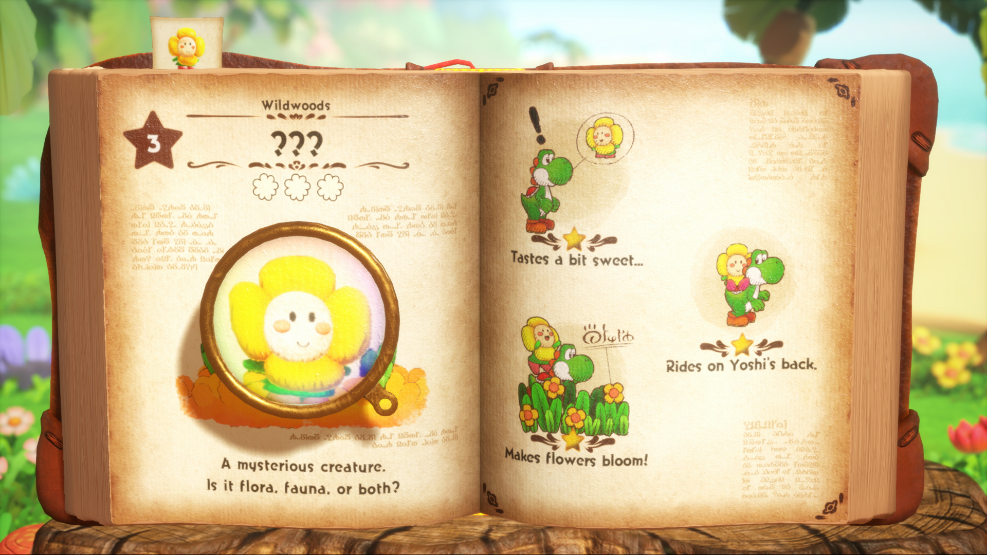 Yoshi and the Mysterious Book, Nintendo Switch 2 photo 8