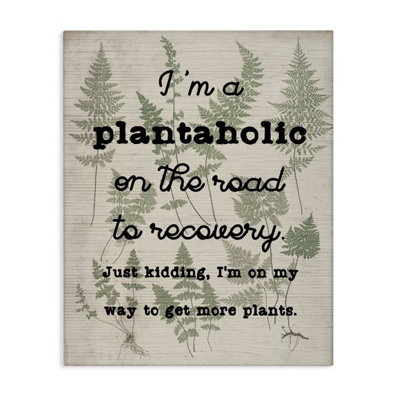 Stupell Industries Traditional Humorous Plantaholic Gardening Phrase Fern Plant Pattern Canvas Art, 16 x 20, by Lil' Rue