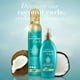 thumbnail image 2 of Spray para cabello Ogx locking + coconut curls 177 ml, 2 of 4