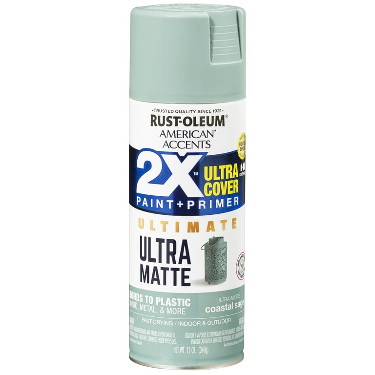 Deep Teal, Rust-Oleum American Accents 2X Ultra Cover Ultra Matte Spray  Paint, 12 oz 