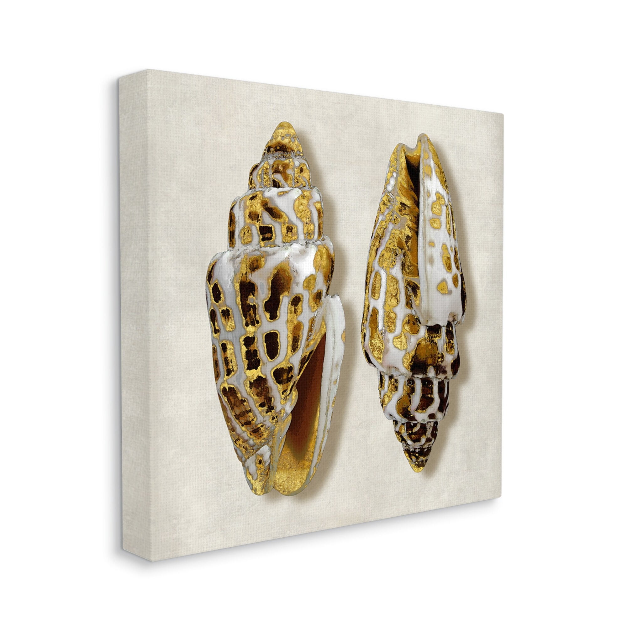 Stupell Industries Speckled Conch Seashell Neutral Tone Sea Life, 24 x 24,Design by Caroline Kelly