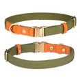 thumbnail image 1 of Classic Heavy Dog Collar Waterproof Odor proof Dog Collar, 1 of 5