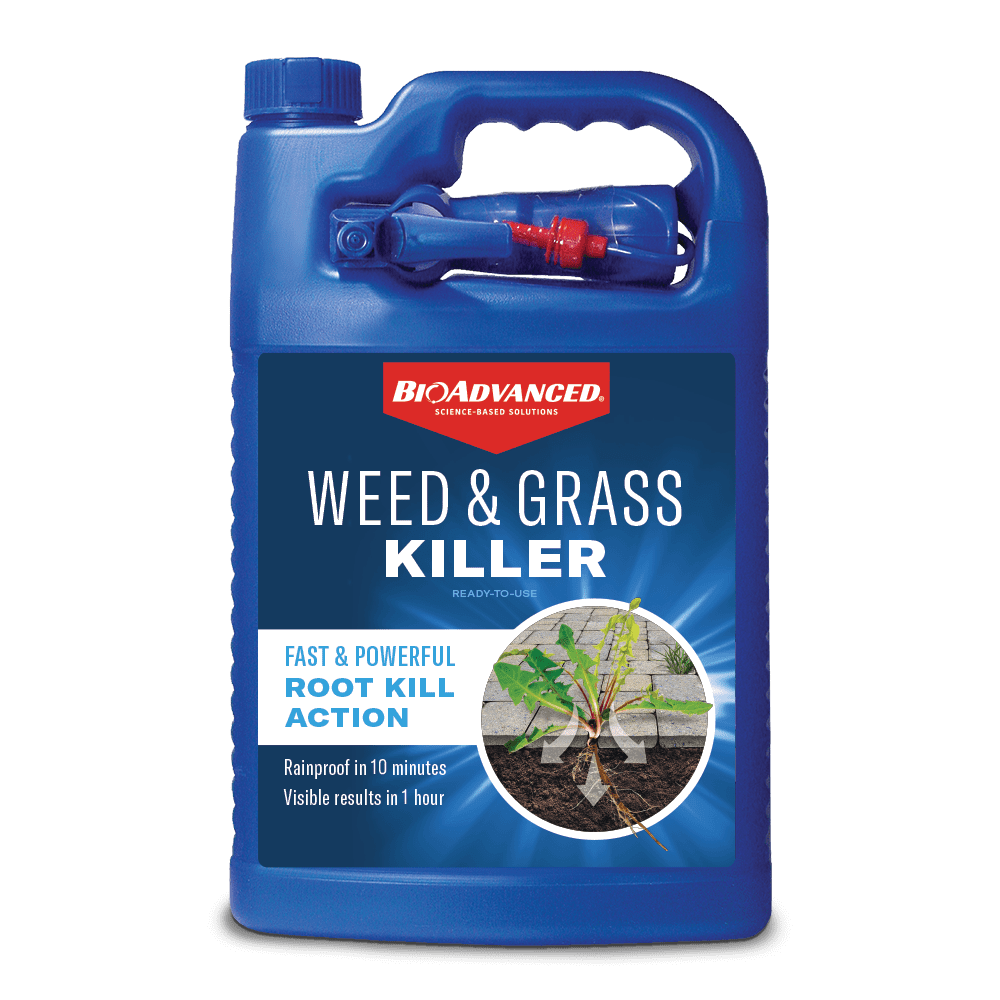 Bioadvanced Weed And Grass Killer Herbicide 1 Gallon Ready To Use
