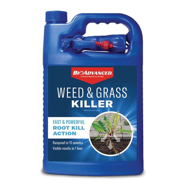 Weed & Feed for Lawns