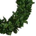 thumbnail image 3 of Northlight Preserved Leaf Spring Garden Wreath - 20" - Unlit, 3 of 7