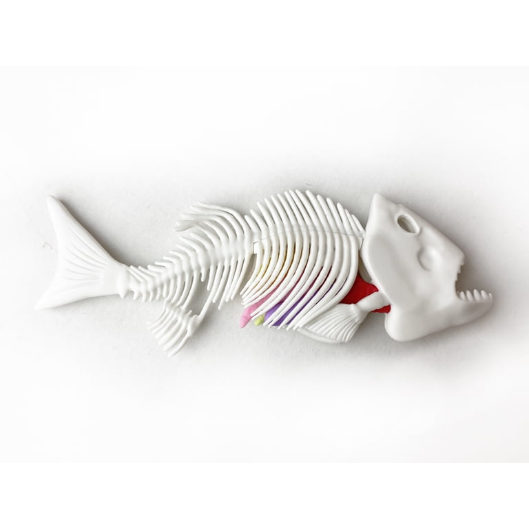 Dissect-It, STEM Dissection Toy, Piranha Lab, Interactive Anatomy