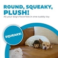thumbnail image 2 of Outward Hound Hedgehogz Stuffed Dog Toy – Soft Plush Hedgehog, Squeaks, 6" x 4" x 4.5", 2 of 4