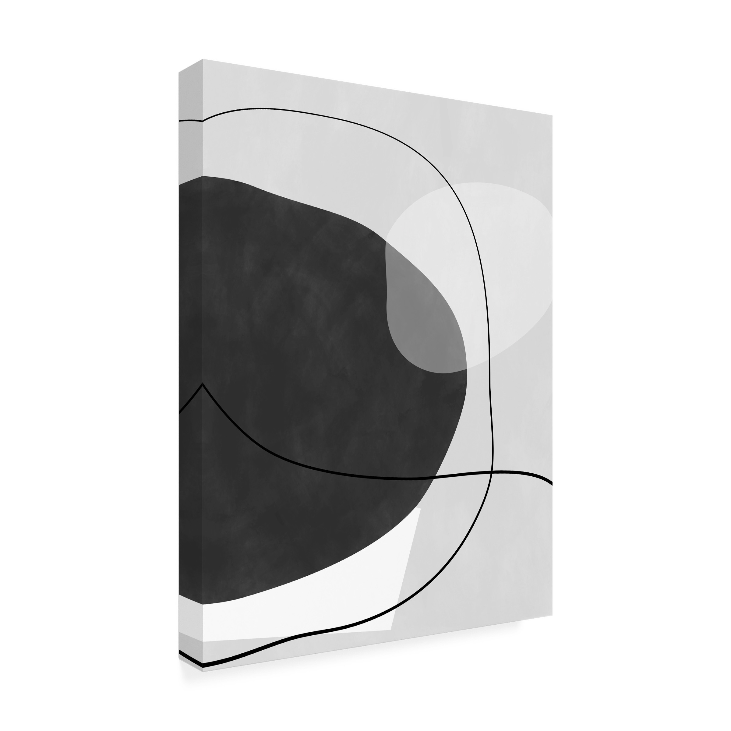 Elena Ristova 'blackawhite39' Canvas Art