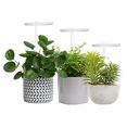 thumbnail image 3 of Lámpara LED USB para cultivo de plantas Phyto para plantas, 3 of 8