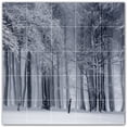 thumbnail image 1 of Picture-Tiles.com: Trees Ceramic Tile Wall Mural WAL501037-55L. 40"W x 40"H using (25) 8" x 8" Ceramic Tiles-Satin Finish, 1 of 3