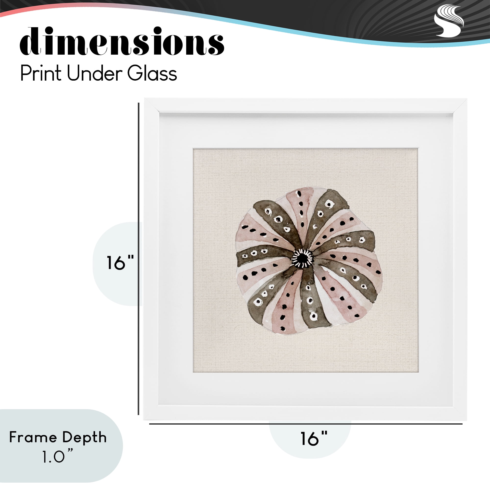 Stupell Industries Taupe Striped Sea Urchin White Framed Print Under Glass, design by Lanie Loreth