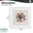 thumbnail image 4 of Stupell Industries Rustic Lodge Taupe Striped Sea Urchin White Framed Print Under Glass, 16 x 16, by Lanie Loreth, 4 of 8