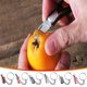 thumbnail image 2 of Cuchillo plegable mini llavero, 2pcs, Marrón, 2 of 4