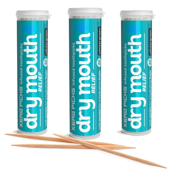 Xero Picks Dry Mouth relief - Wintergreen - Infused Flavored Toothpicks - 20 Picks - 3 Pack
