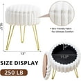thumbnail image 2 of Vanity Stool with Storage, Faux Fur Ottoman Chair with Metal Legs, Round Makeup Vanity Chair for Bedroom or Dressing Table, Modern Small Ottoman Seat (White), 2 of 13