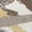 Coffee, variant on Addison Rugs Chantille Indoor/Outdoor Transitional Abstract Black Machine Washable Rectangle Rug, 10' x 14'
