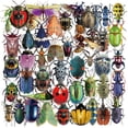 thumbnail image 1 of Pegatinas de insectos para álbumes de recortes, 50 unidades, realistas, resistentes al agua, 1 of 2