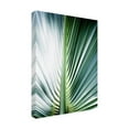 thumbnail image 2 of Trademark Fine Art 'Close up III Tropic' Canvas Art by Incado, 2 of 3