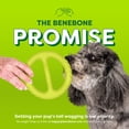 thumbnail image 7 of Benebone Essentials Tug, 7 of 7