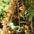 thumbnail image 5 of Hammock Frog Decoration, Funny Hanging Hammock Swing Frog Creative Garden Swing Hanging Frog, Tree Rope Hanging Crafts Animal Sculptures, Individual Decoration for Yard Garden Outdoor Indoor, 5 of 7