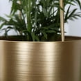 thumbnail image 3 of Nórdico Creativo Hierro Forjado Cesta Maceta Rábano Verde Suculento Balcón Interior Florero (oro L), 3 of 9