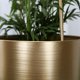 thumbnail image 3 of Nórdico Creativo Hierro Forjado Cesta Maceta Rábano Verde Suculento Balcón Interior Maceta (oro S), 3 of 9