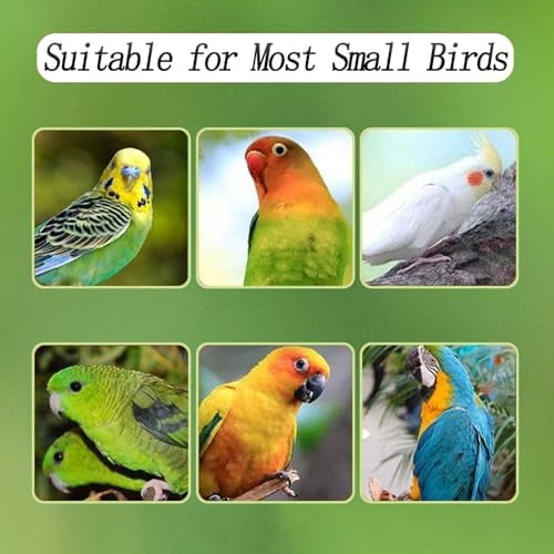 No Mess Bird Feeder for Cage, Automatic Acrylic Bird Feeder Seed Catcher Tray Cage with Stainless Steel Hooks for Small Parrots Canary Parakeet Budgerigar Crested Cockatiel Lovebird (Small)
