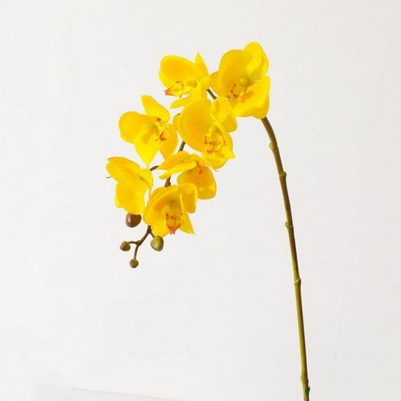 Monebena 2PCS 27.2" Tall Cream Silk Orchid Stems Artificial Flower Stem Real Touch Flower For Wedding Decorations