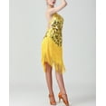 thumbnail image 2 of Whitewed Fringed Salsa Ballroom Dance Latin Dresses for Women Performance Gold, 2 of 6