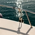 thumbnail image 4 of OULII Nylon Boat Dock Hook 1Pack Easy Adjustment for Yachts Ships Docks Protection, 4 of 8