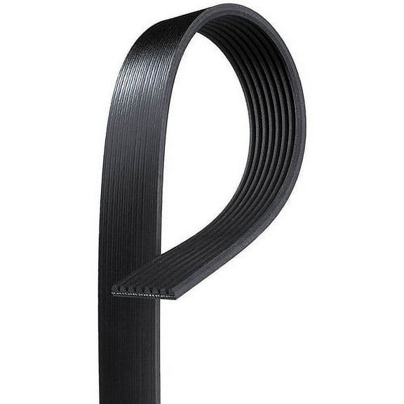 Gates K080375 Micro-V AT Belt Fits select: 2018-2021 MINI COOPER, 2014-2017 BMW I8