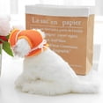 thumbnail image 3 of TELOLY 2026 New Dog Hat for Medium Dogs to Wear Puppy Bucket Hats with Ear Holes and Chin Strap Dog Visor Hat Beach Sun Protection Baseball Cap Orange Dog Hats, 3 of 7