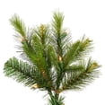 thumbnail image 2 of Vickerman 22068 - 9.5' x 54" Cashmere Slim 1,000 Multi-Color DuraLit Miniature Lights Christmas Tree (A118187), 2 of 2