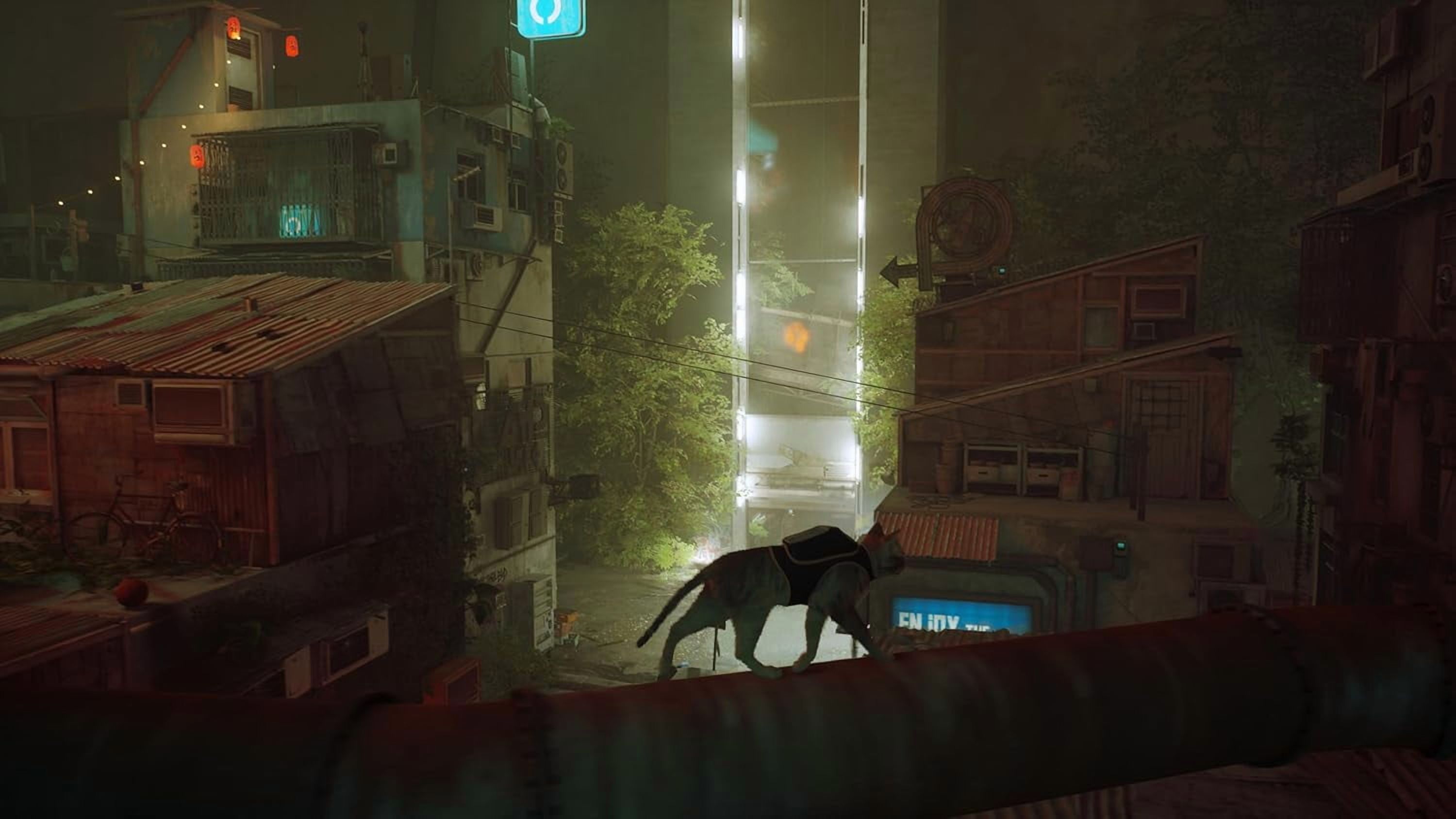 Stray, Nintendo Switch photo 5