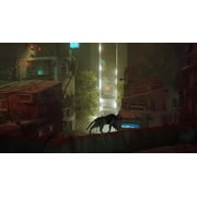 Stray, Nintendo Switch