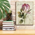 thumbnail image 3 of Epic Graffiti 'Garden View II' by Lisa Audit Canvas Wall Art, 12"x16", 3 of 8