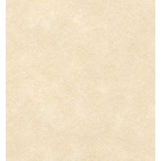 New White Parchment Stationery Paper Size 8 5 X 14 On 60 Lb 50 New White Parchment Stationery Paper Size 8 5 X 14 On 60 Lb 50 Sheets Per Pack