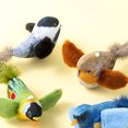 thumbnail image 2 of BESTSKY 2Pcs Flapping Bird Cat Toy,Interactive Bird Sounds Chirping Bird Cat Toy Flapping Wings,Stimulate Cat Play Bird Toy for Cats,Multicolor, 2 of 7