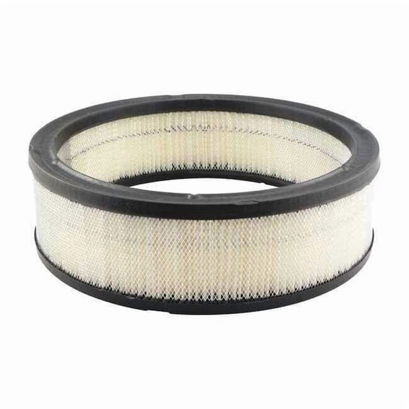 Baldwin Filters Air Filter,10-1/32 x 3 in. PA621