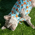 thumbnail image 4 of Oodles Sweet Citrus Boxy Button Up Dog Shirt, Blue, Extra Small, 4 of 15