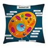 Educational Throw Pillow Cushion Cover, Science at School Cell of an Animal Colorful Display Medical Studies Nucleus, Decorative Square Accent Pillow Case, 16 X 16 Inches, Multicolor, by Ambesonne