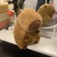 thumbnail image 4 of Simulation Capybara Toy Keychain Realistic Stuffed Animal Pendant Keyring For Kids Adults Backpack Charm Bag Ornaments, 4 of 5