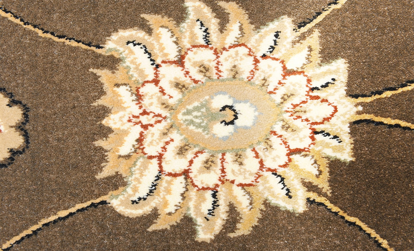Home Dynamix Triumph Fawn Area Rug