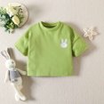thumbnail image 5 of Lovskoo 0-24Months Baby Clothes 3 Piece Happy Easter Outfits Embroidered Bunny Candy Color T-Shirt Shorts Hat Suit Toddler Boys Girls Summer Spring Outfits Green, 5 of 9