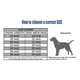 thumbnail image 3 of Collar Estrangulador De Adiestramiento Para Perros Con Caden, 3 of 7