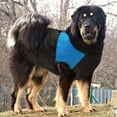 thumbnail image 5 of Dog Clothes for Big Dogs Waterproof Medium Large Coat Winter Warm Jacket 2XL-14XL, 5 of 6