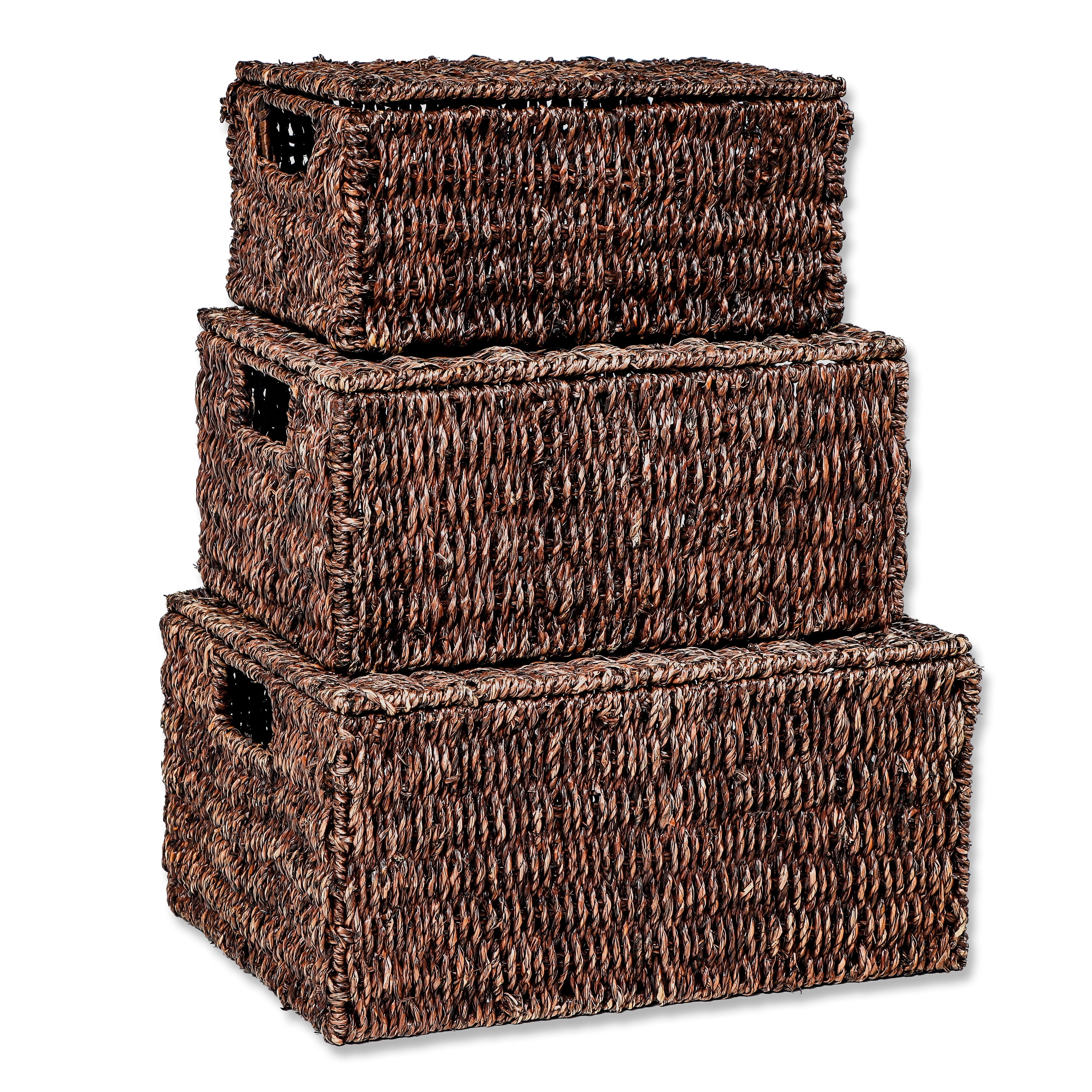 Rectangular Seagrass Baskets with Lids (Set of 3, Brown)