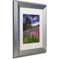 thumbnail image 2 of Trademark Fine Art 'Lupines on the Hill' Canvas Art by Michael Blanchette Photography, White Matte, Silver Frame, 2 of 4