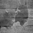 thumbnail image 2 of Phillip, Jamie 20x20 Black Ornate Wood Framed with Double Matting Museum Art Print Titled - Bison, 2 of 4